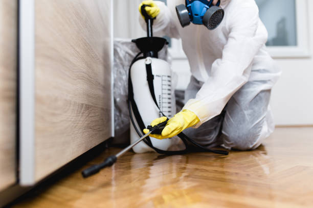 Best Pest Control Near Me  in London, OH