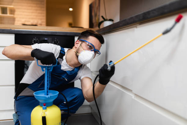 Trusted London, OH Pest Control Experts