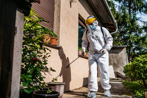 Best Rodent Control Near Me  in London, OH