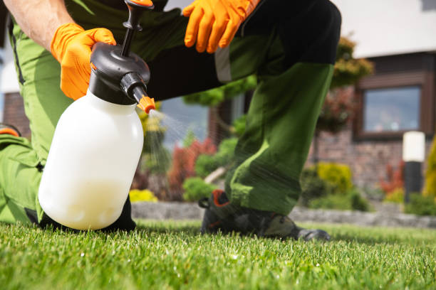 Best Affordable Pest Control Services  in London, OH