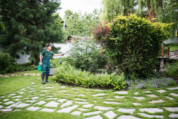 Best Mosquito Control Services  in London, OH