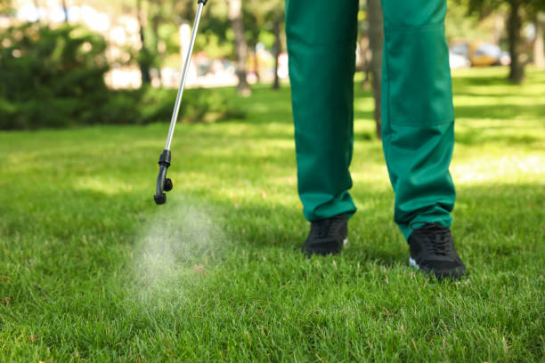 Best Bed Bug Extermination  in London, OH