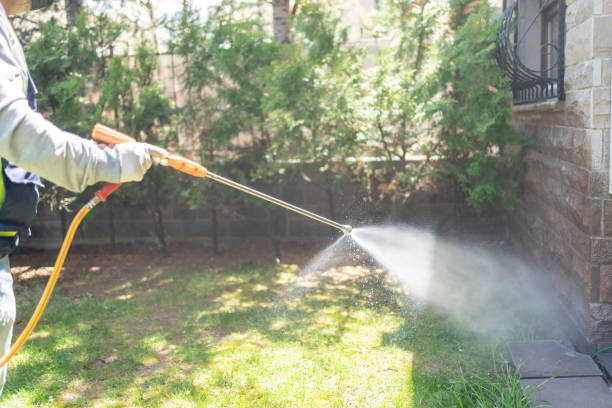 Best Termite Control Services  in London, OH
