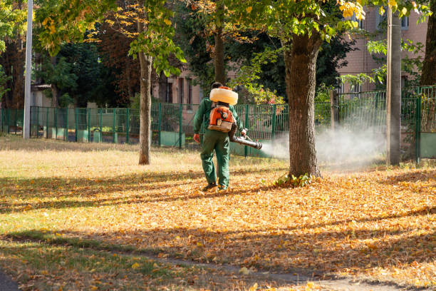 Best Commercial Pest Control Services  in London, OH