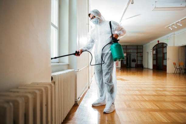 Best Affordable Pest Control Services  in London, OH