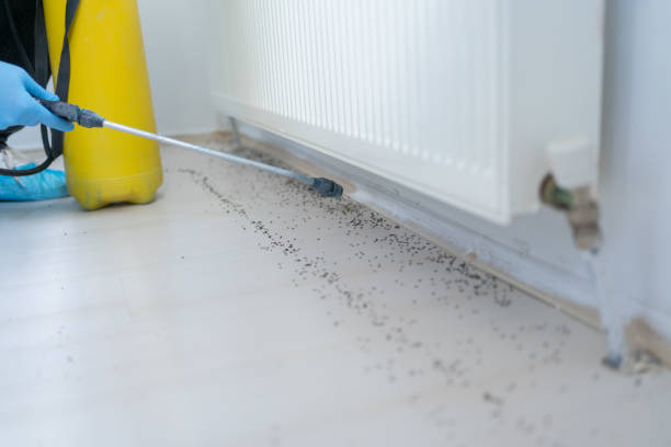 Best Affordable Pest Control Services  in London, OH