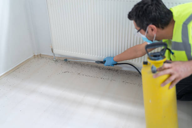 Best Pest Control Near Me in London, OH