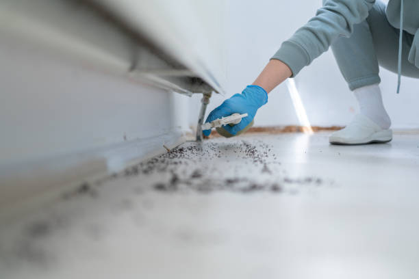 Pest Prevention Services in London, OH